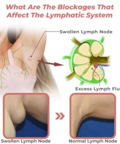 Diystar™ Lymph Flow Magnetogen Earrings